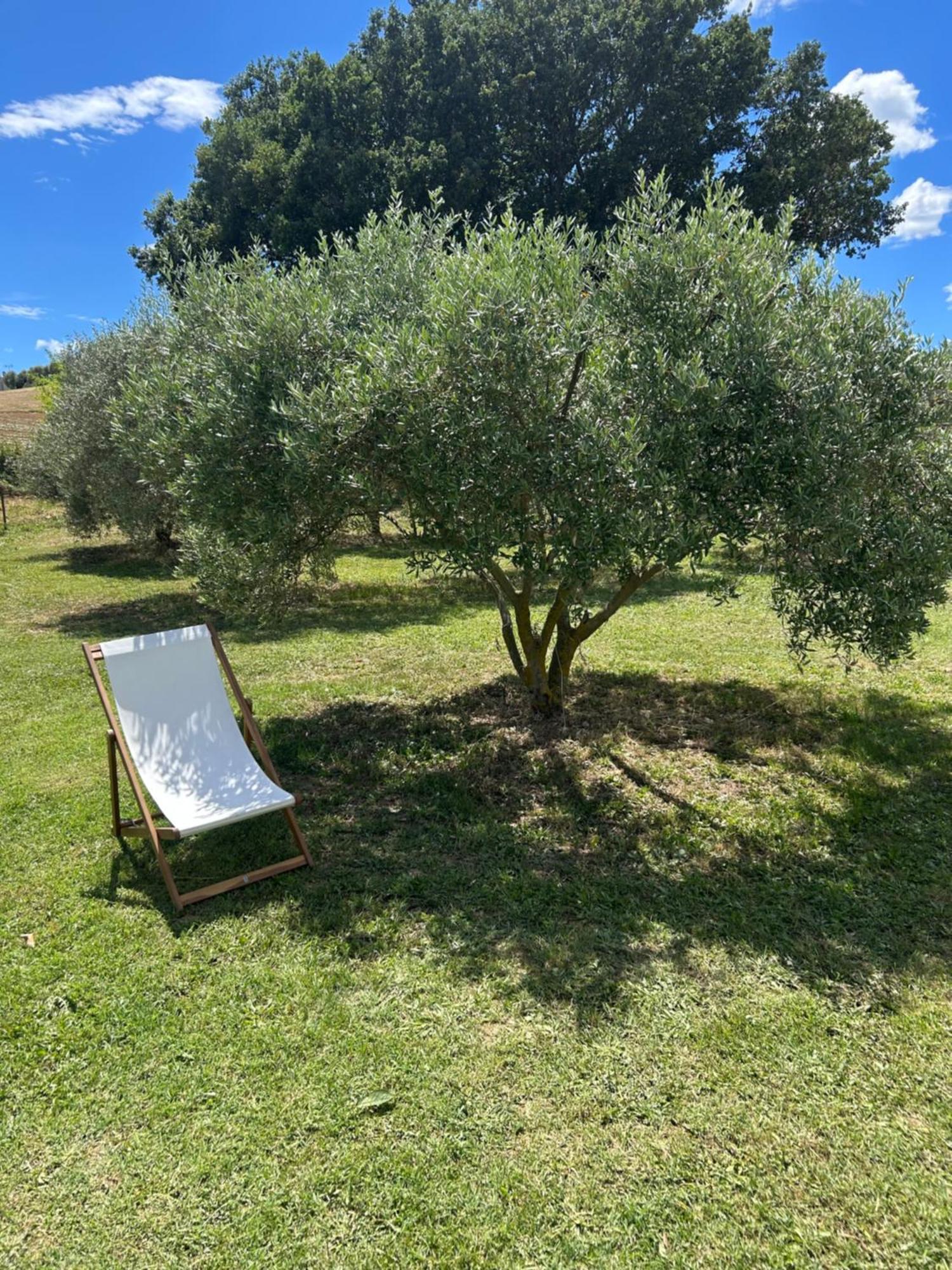 Sous Les Etoiles En Provence, Gite Les Grands Chenes Lurs Exteriör bild
